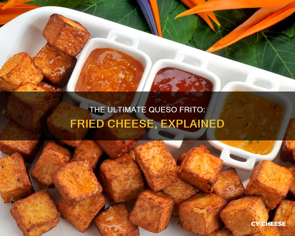 what kind of cheese is queso frito