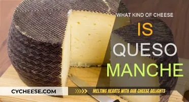 The Magic of Queso Manchego: Spain's Iconic Cheese