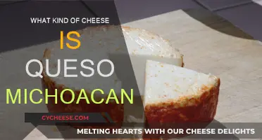 Queso Michoacano: A Distinctive Mexican Cheese Variety