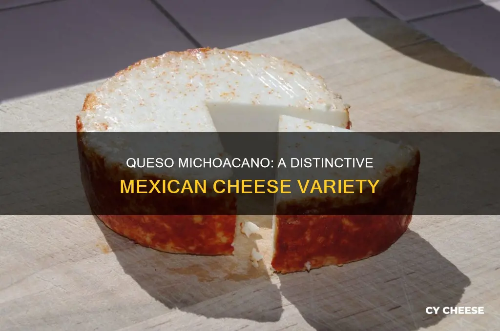 what kind of cheese is queso michoacano