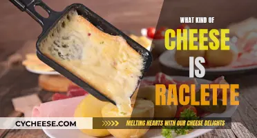 Raclette Cheese: A Swiss Delicacy Explained