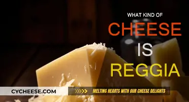 Reggiano Cheese: A Speciality from Italy's Reggio Emilia