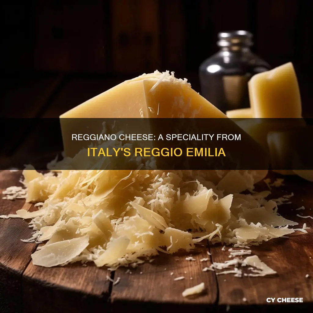 what kind of cheese is reggiano