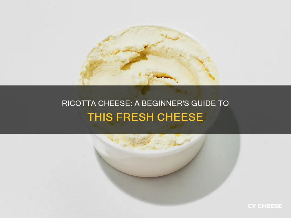 what kind of cheese is ricotta