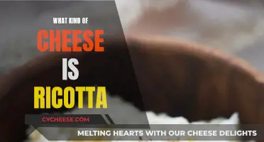 Ricotta Cheese: Its Unique Texture and Taste