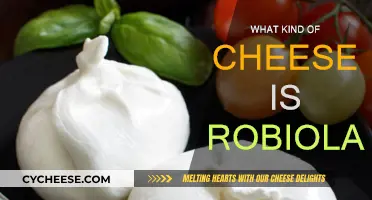 Robiola Cheese: A Creamy, Soft Italian Delicacy