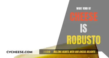 Discovering the Secrets of Robusto Cheese