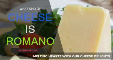 Romano Cheese: A Sharp, Classic Italian Staple