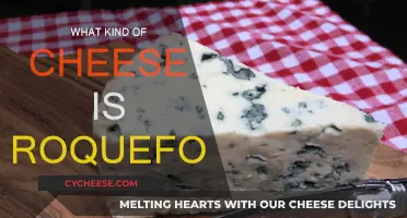 The Distinct Flavor of Roquefort Cheese