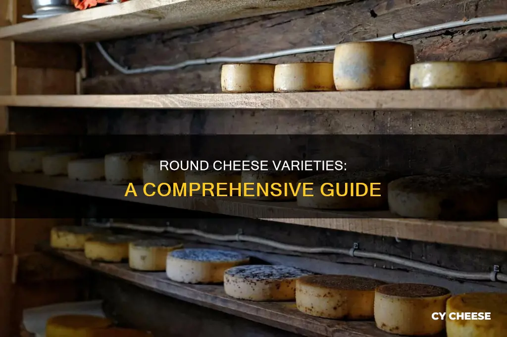 what kind of cheese is round