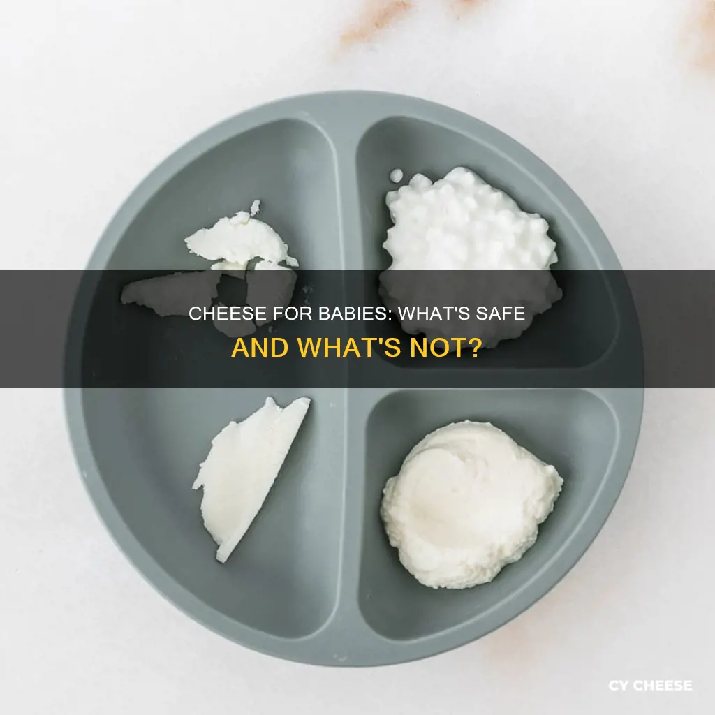 what kind of cheese is safe for baby