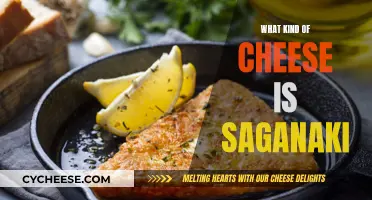 The Greek Cheese Saganaki: A Tasty Feta Alternative