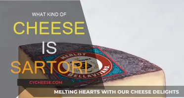 Sartori Cheese: A Wisconsin Original