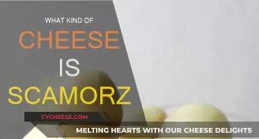 Scamorza Cheese: A Smoked Italian Treat Explained