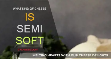 Semi-Soft Cheeses: Exploring Their Unique Characteristics and Flavors