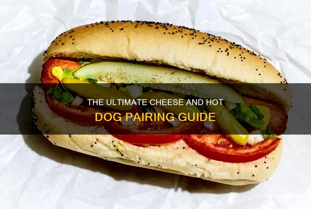 what kind of cheese is served on hot dogs