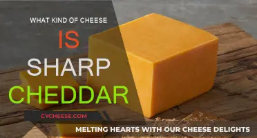 Sharp Cheddar: A Distinctive Cheese with a Bold Taste