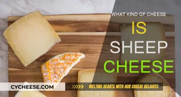 Sheep Cheese: A Unique Dairy Delight Explained