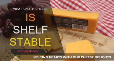 Cheese Storage: Which Cheeses Can Stay Unrefrigerated?