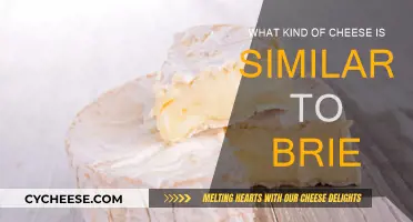 Brie Alternatives: Exploring Similar Cheeses for Your Palate