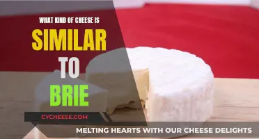 Brie Alternatives: Similar Cheeses for Your Next Platter