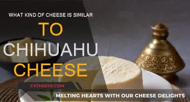 Cheese Exploration: Chihuahua Cheese and Its Similar Cheeses