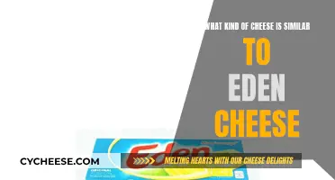 Cheese Exploration: Eden Cheese Alternatives and Similarities