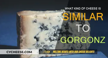 Exploring Gorgonzola-like Cheeses: A Taste Adventure