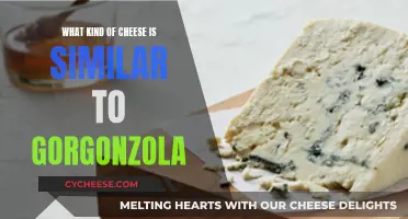 Exploring Gorgonzola-like Cheeses: A Taste Adventure