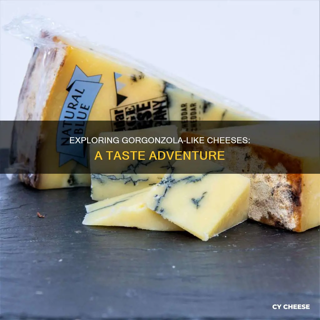 what kind of cheese is similar to gorgonzola