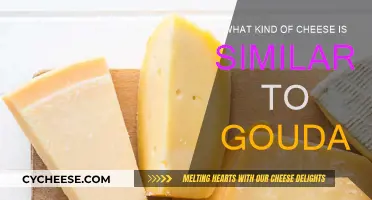 Cheeses Similar to Gouda: A Comprehensive Guide