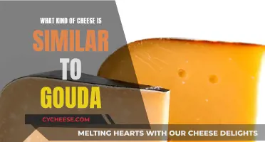 Cheeses Similar to Gouda: A Comprehensive Guide