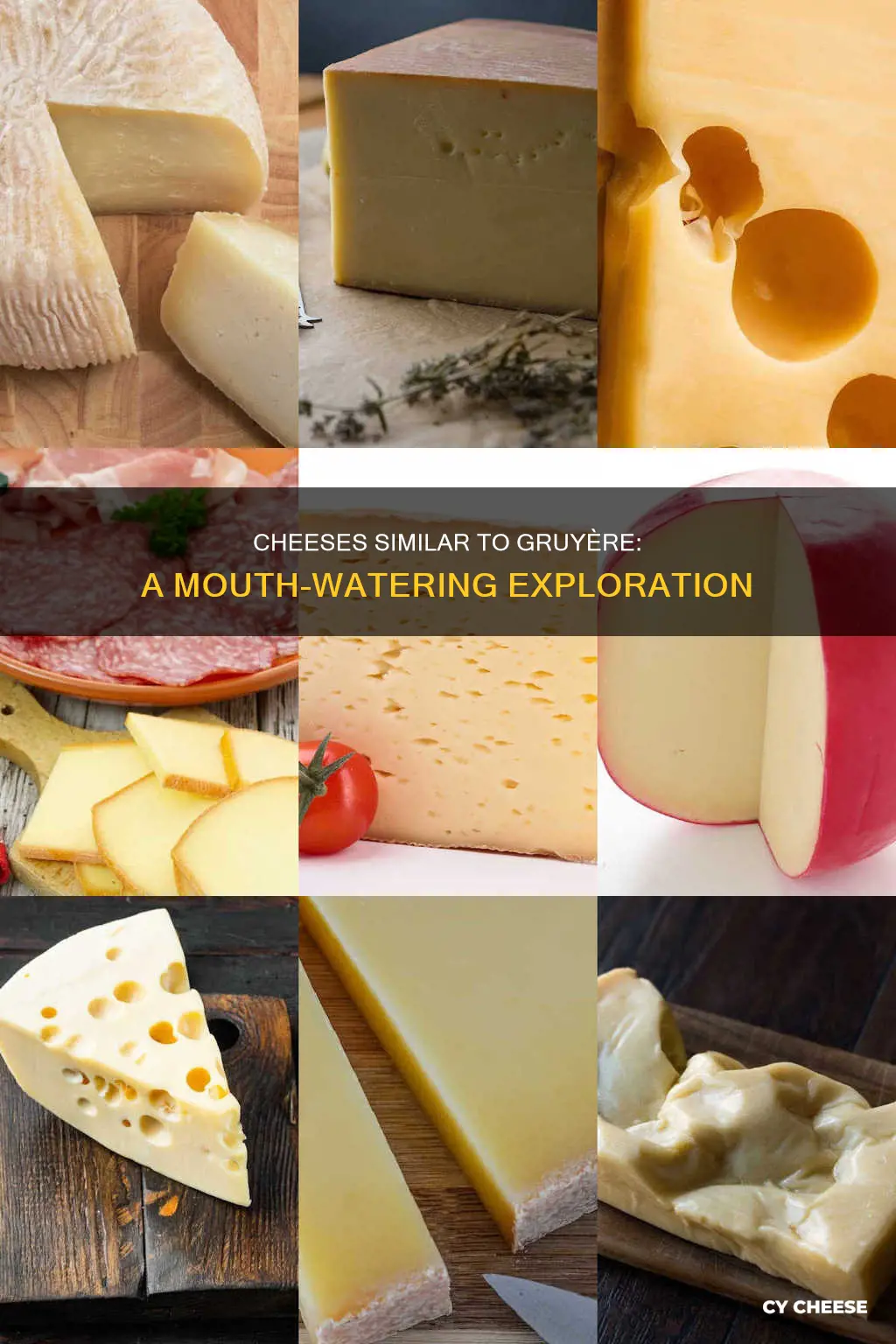 what kind of cheese is similar to guryere