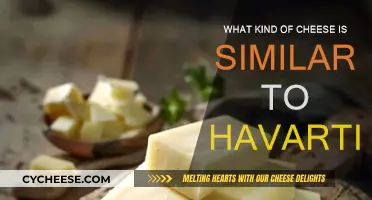 Havarti Cheese Alternatives: Similar Cheeses to Try