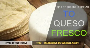 Fresh Cheeses Similar to Queso Fresco: A Comparison