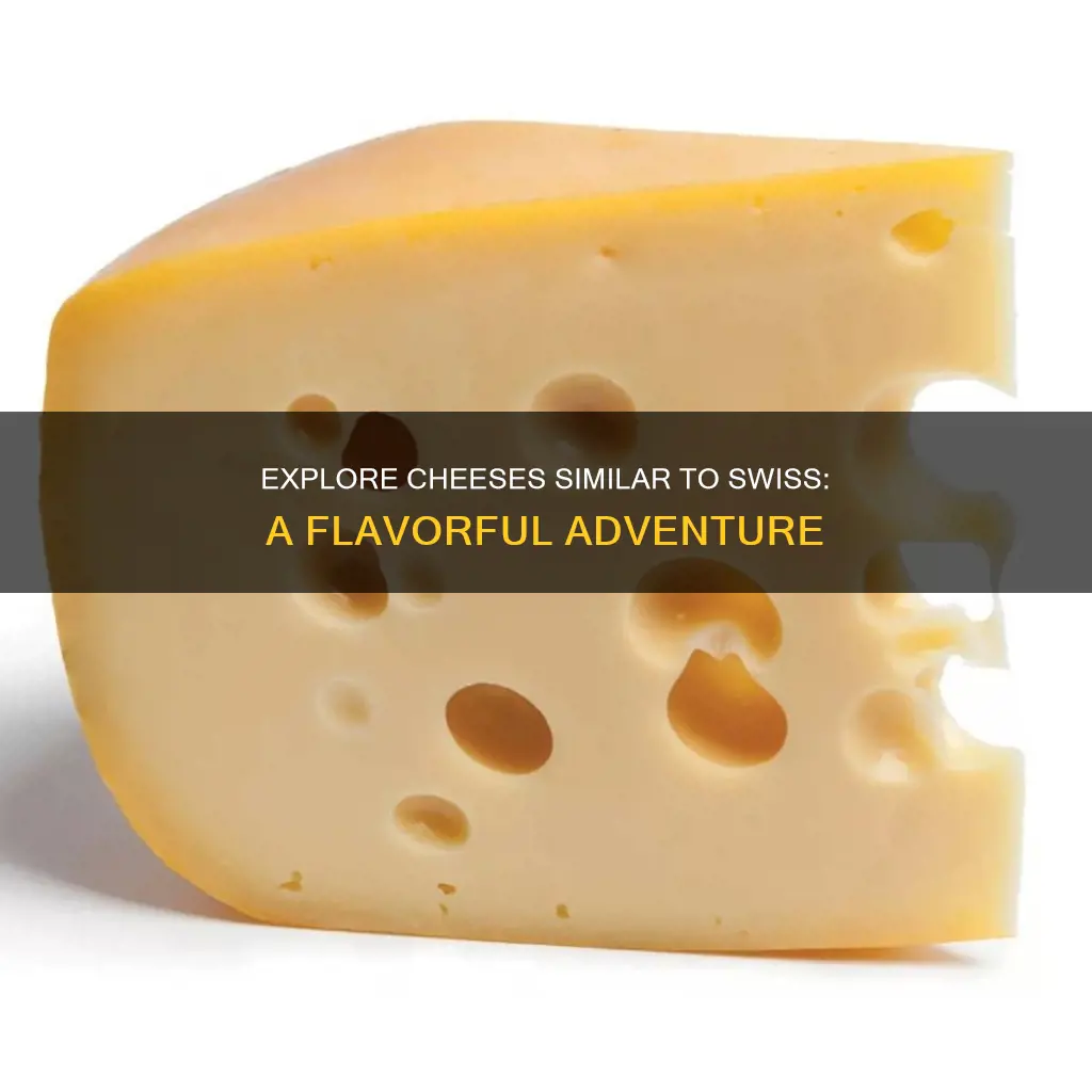 what kind of cheese is similar to swiss