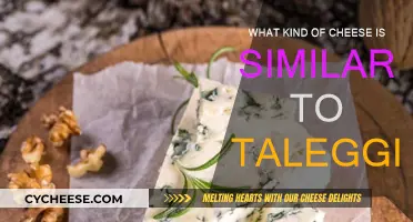 Exploring Cheeses Similar to Taleggio: A Taste Adventure