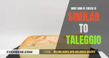 Explore Cheeses That Are Similar to Taleggio's Unique Flavor