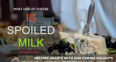 Spoiled Milk Transforms: The Magic of Cheese Making