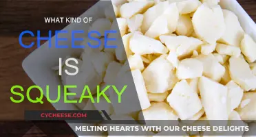 The Mystery of Squeaky Cheese: A Cheesy Adventure