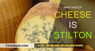 The Story of Stilton: A Distinctive Blue Cheese