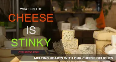 Stinky Cheese: What Makes Them Smell So Bad?