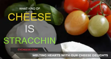 Stracchino Cheese: A Soft, Creamy Italian Delight