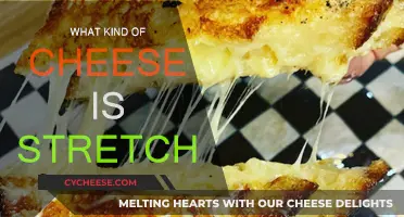 The Science Behind Stretchable Cheeses