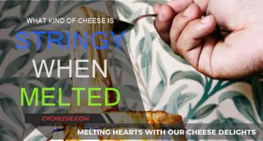 Cheese Science: Melty, Stringy Magic Explained