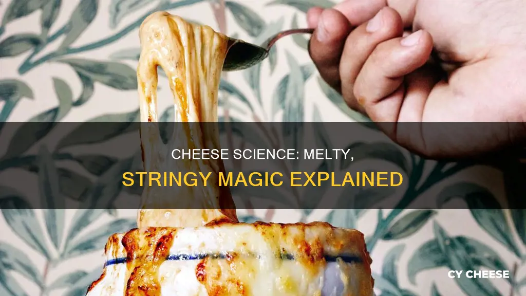 what kind of cheese is stringy when melted