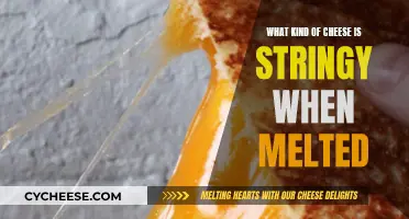 Cheese Secrets: Melting and Stretching Magic