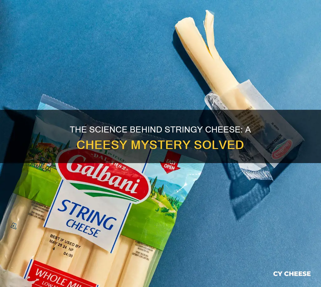 what kind of cheese is stringy