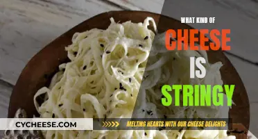 Stringy Cheese: Types and Their Unique Characteristics