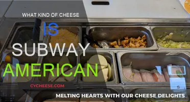 American Cheese: Subway's Signature Slice Unveiled